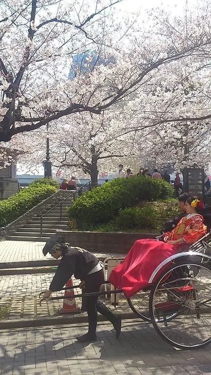 بيت ضيافة Japonica Lodge Asakusa
